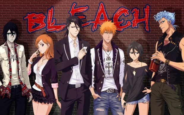 Bleach Anime Group (click to view)