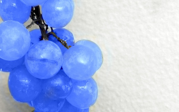 Blue Grapes (click to view)