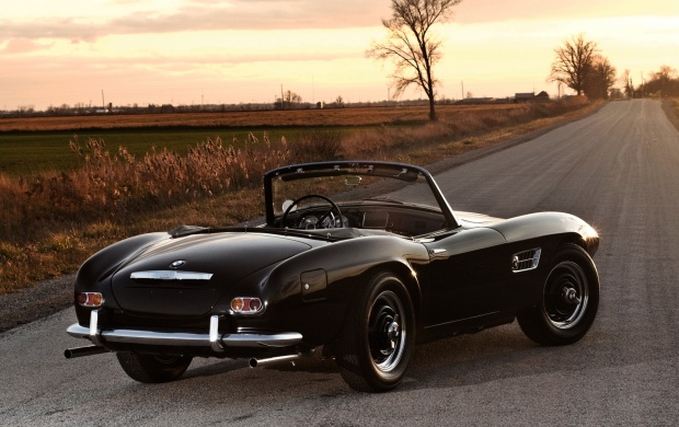 BMW 507 Roadster (click to view)