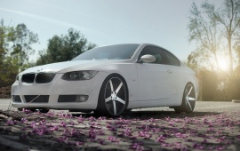 BMW Car And Petals