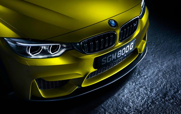 BMW M4 Bonnet (click to view)