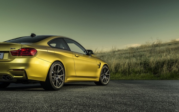 BMW M4 F82 2014 (click to view)