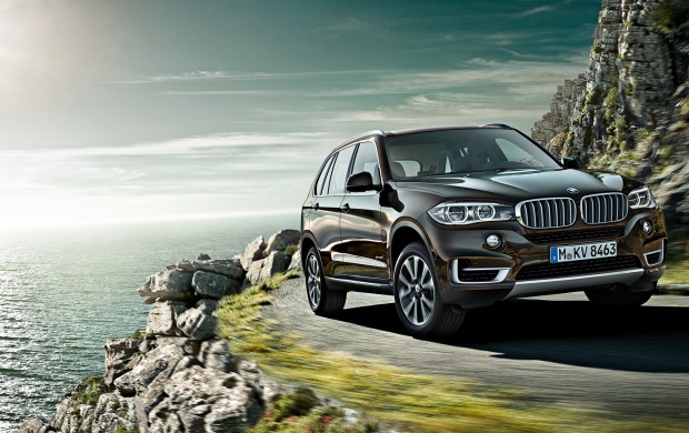 BMW X5 M Sport 2014 (click to view)