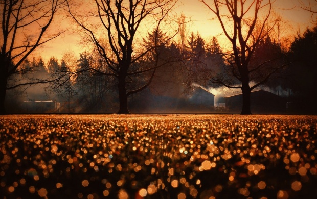Bokeh Sunset (click to view)
