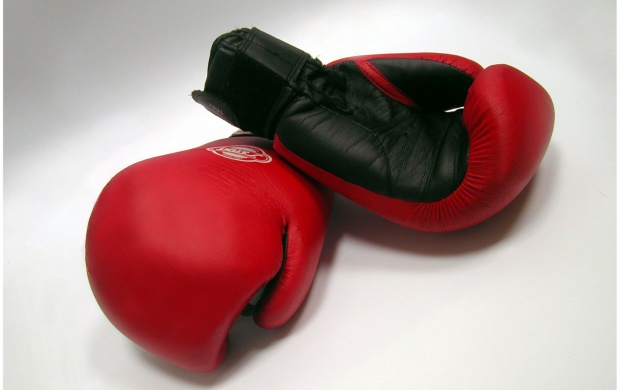 Boxing Gloves (click to view)