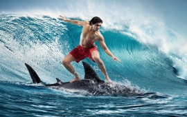 Boy On Shark Surfing