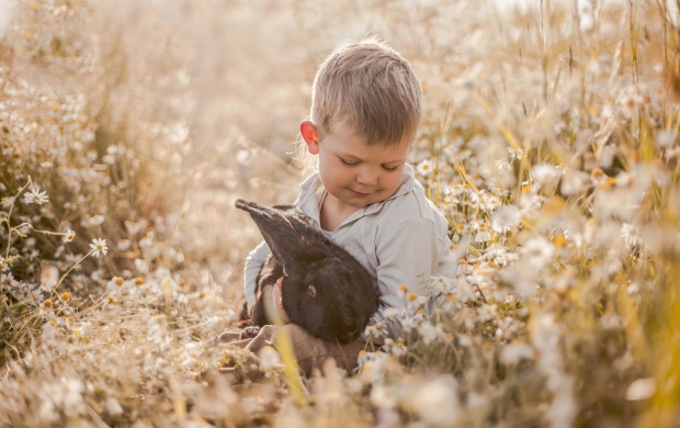 Boy Rabbit Friends Chamomile Meadow (click to view)