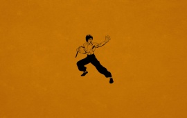 Bruce Lee Kung Fu