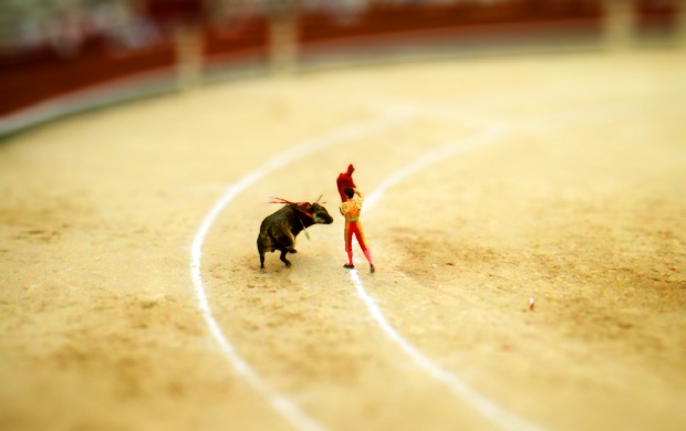Bull Fighting Miniature Effect (click to view)