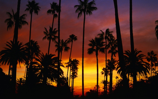 California Sunrise (click to view)