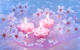 Candles And Cherry Flowers