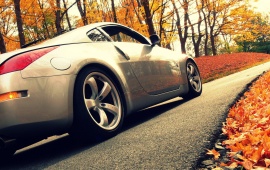 Car And Autumn Leaves