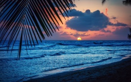 Caribbean Sea Beach Evening