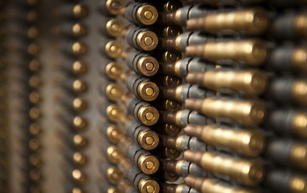 Cartridge Belt Ammo (click to view)