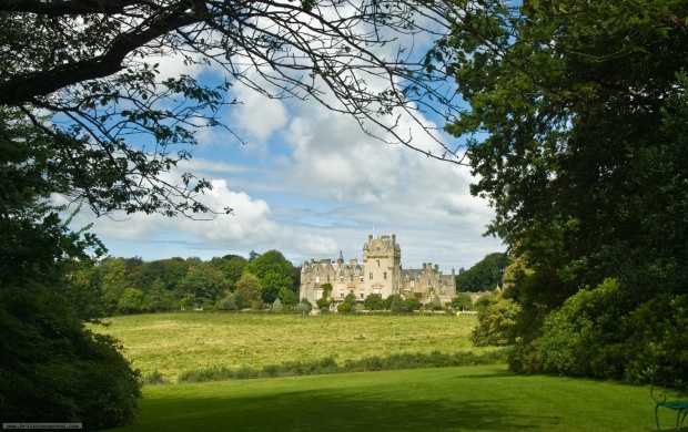 Castle Viewed From the Forest (click to view)