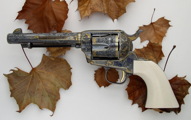 CCA Howard Dove Award Gun (click to view)