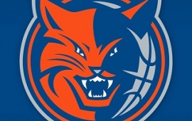 Charlotte Bobcats Logos