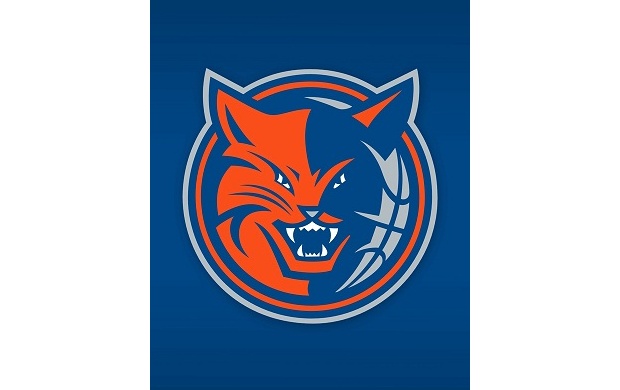 Charlotte Bobcats Logos (click to view)