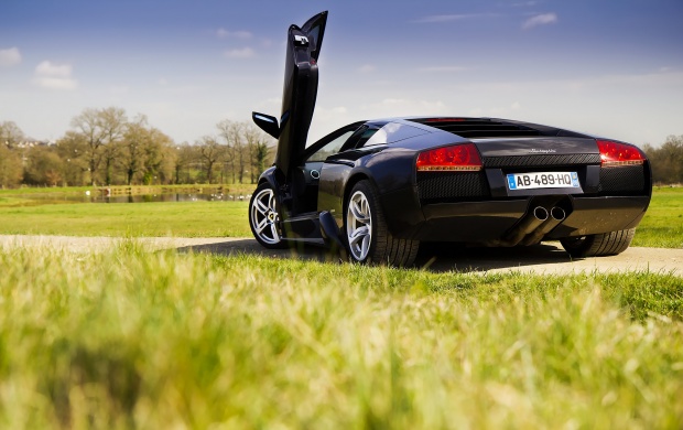 Charming Black Lamborghini Car (click to view)