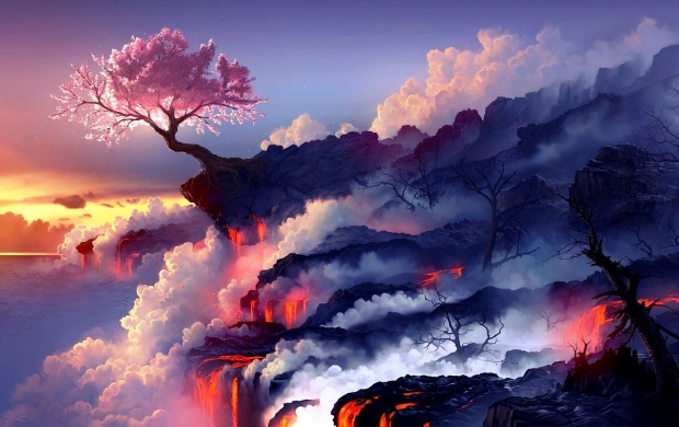 Cherry Blossom Tree on Volcano Lava