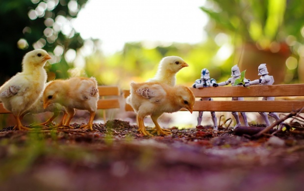 Chickens Star Wars Toys Bokeh