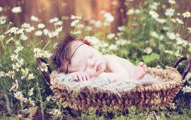 Children Sleeping Flowers