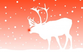 Christmas Deer And Winter