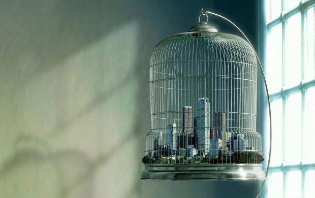 City In Bird Cage (click to view)
