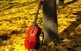 Classic Red Guitar
