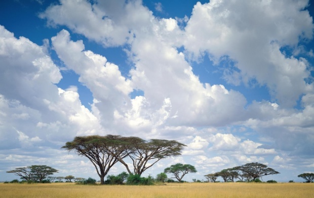 Clouds On The Masai Mara (click to view)