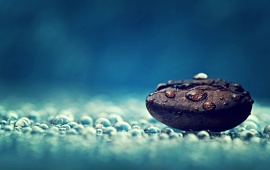 Coffee Bean and Water Drops