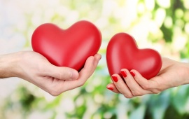 Couple Hand Holding Heart