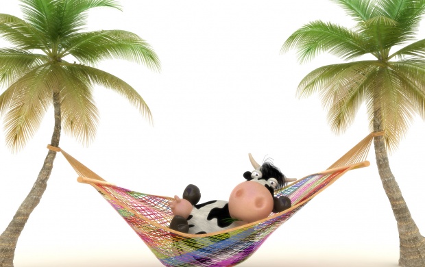Cow On Vacation (click to view)