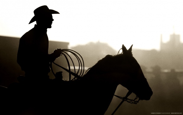 Cowboy at Rodeo (click to view)