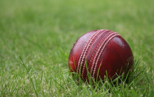 Cricket Ball In The Grass (click to view)