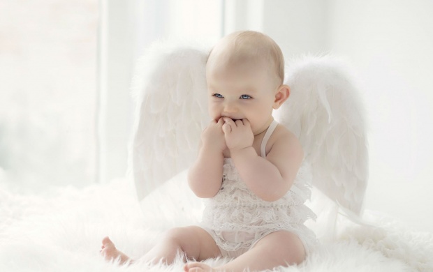 Cute Baby White Wings