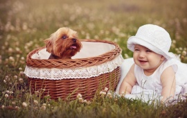 Cute Girl And Basket Puppy