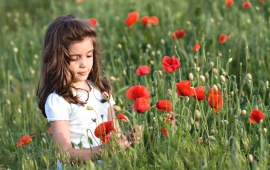 Cute Girl In Poppy Flower Field