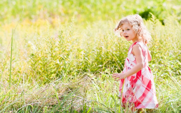 Cute Little Girl On The Meadow