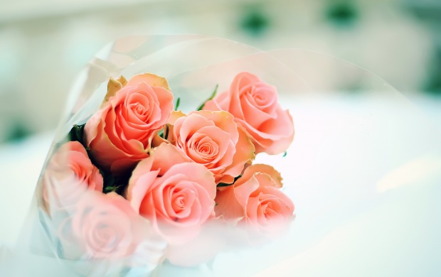 Cute Rose Bouquet (click to view)