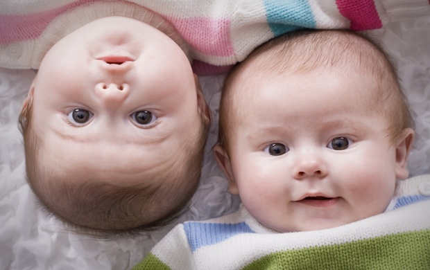 Cute Twins Baby (click to view)