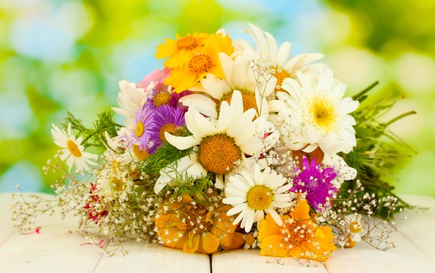 Daisies Gerbera Bouquet (click to view)