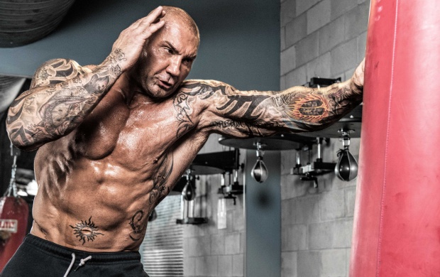 Dave Bautista Boxing (click to view)