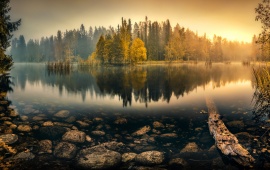 Dawn Autumn Forest Lake