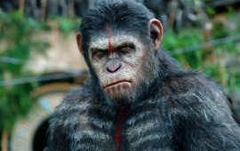 Dawn Of The Planet Of The Apes Movie Stills