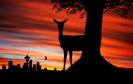 Deer And Sunset