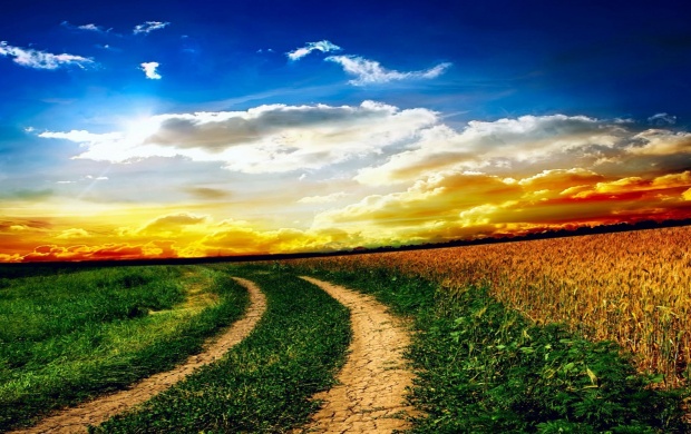 Dirt Road Next to a Field (click to view)