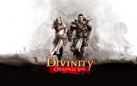 Divinity: Original Sin 2014