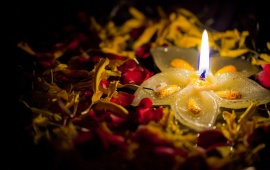 Diwali Diya And Flowers