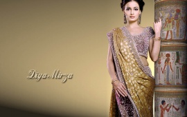 Diya Mirza In Colorfull Saree